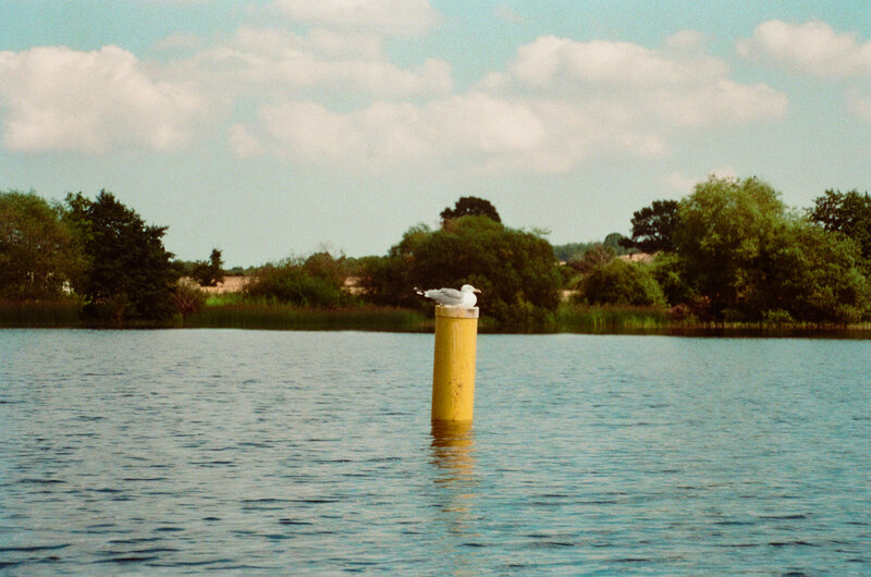 Analoge Fotografie – Stimmung auf Film