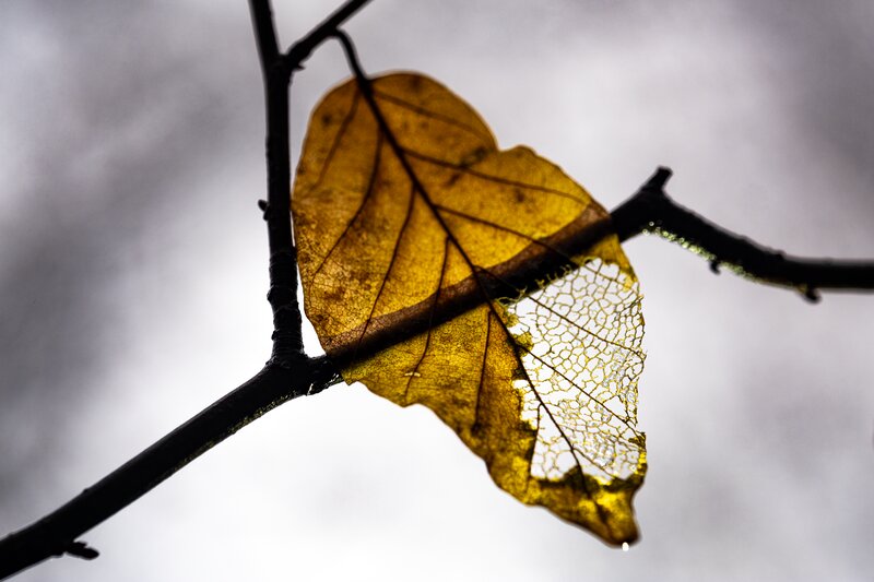 Digitale Fotografie – Perspektive